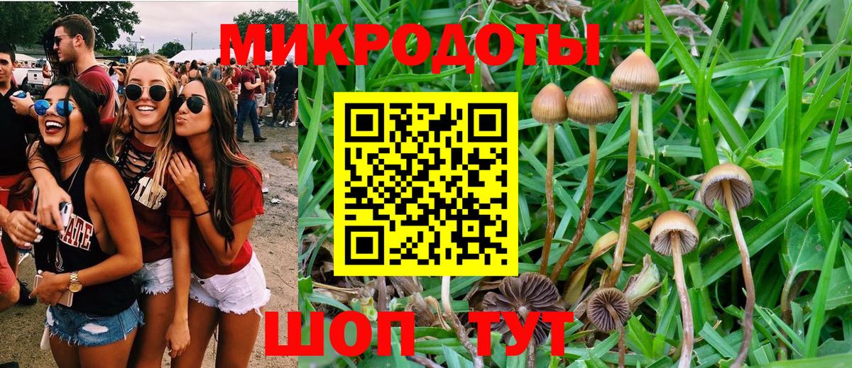 Псилоцибиновые грибы мицелий Энгельс